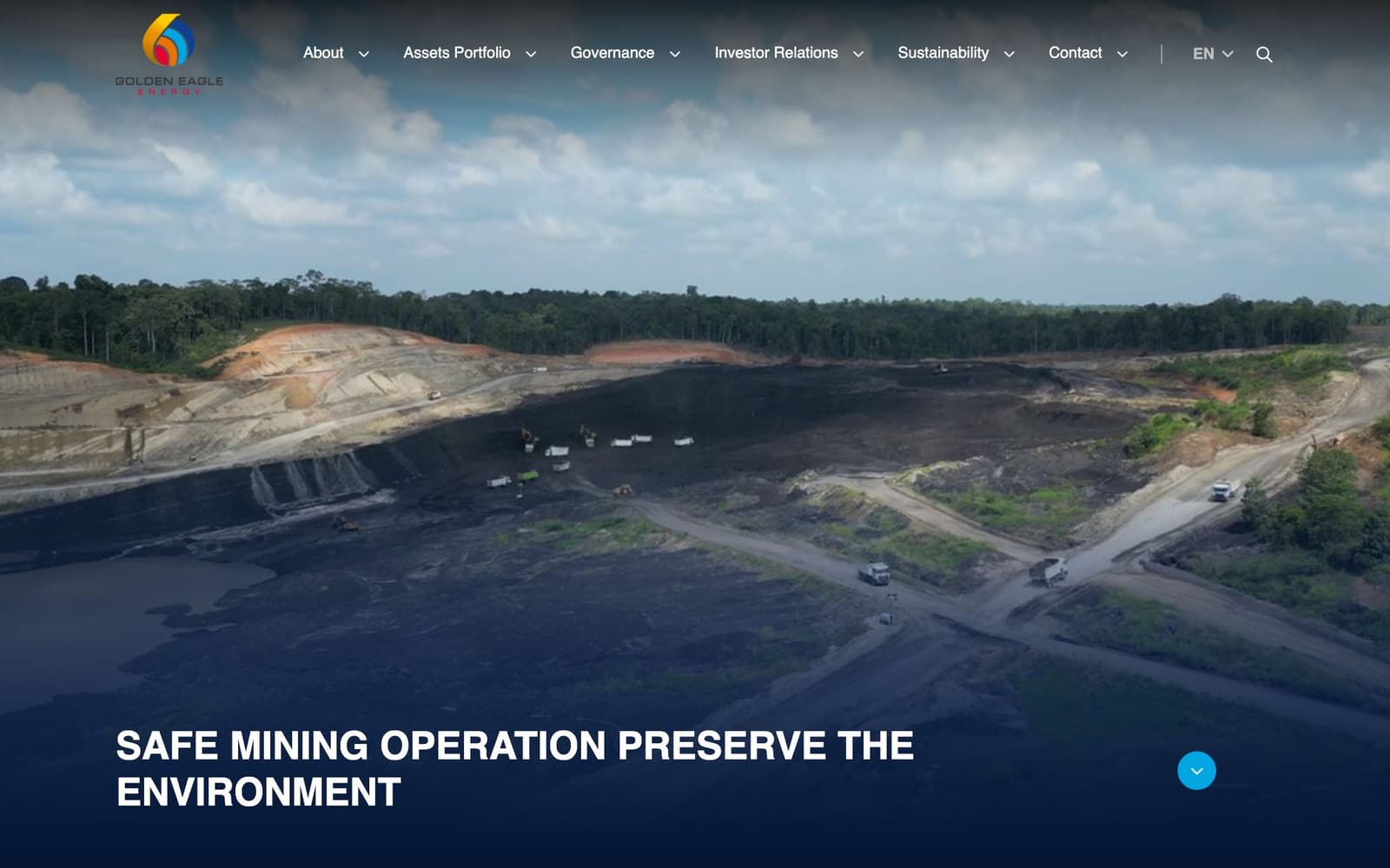 Go-Eagle — project screenshot