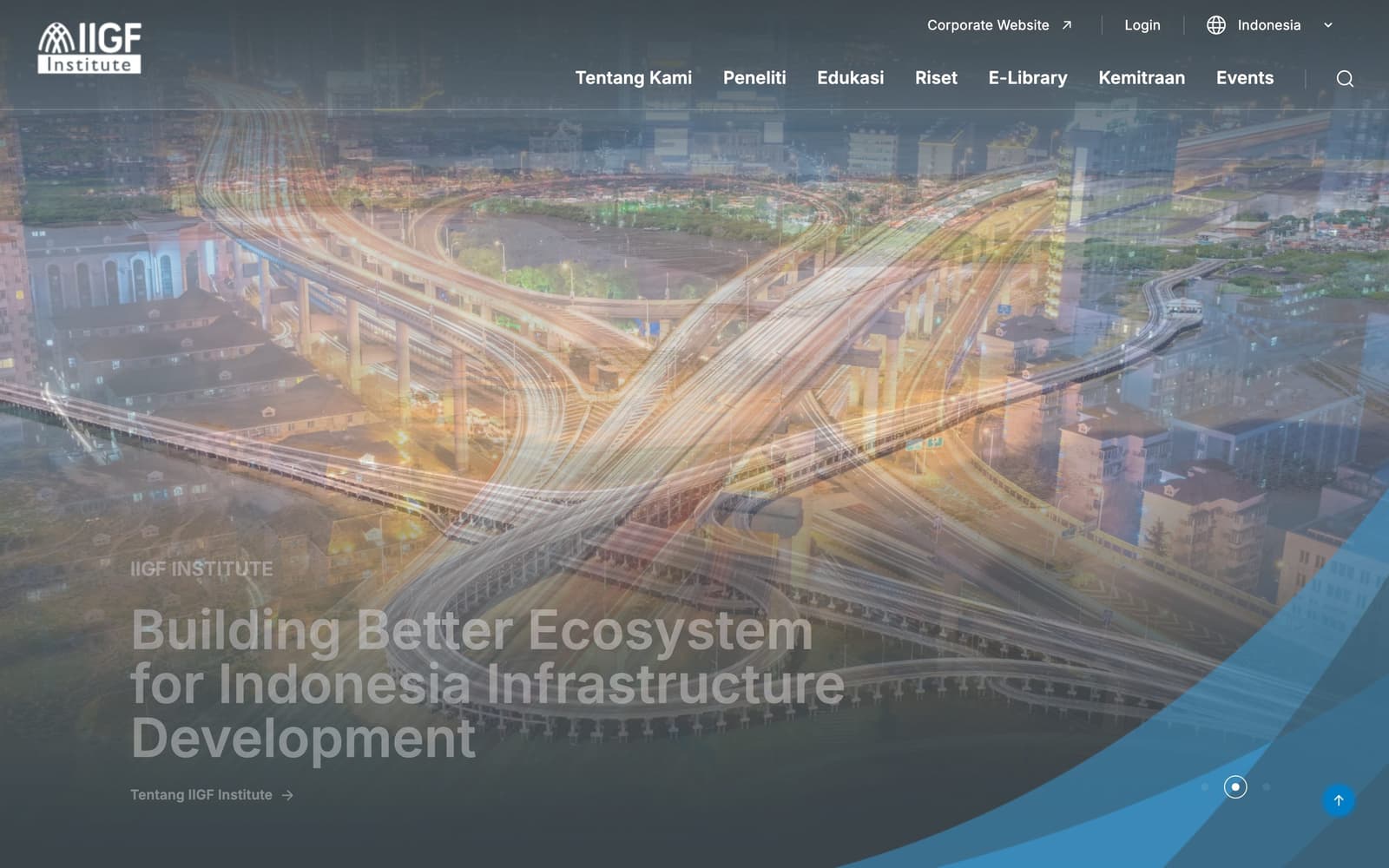IIGF Institute — project screenshot
