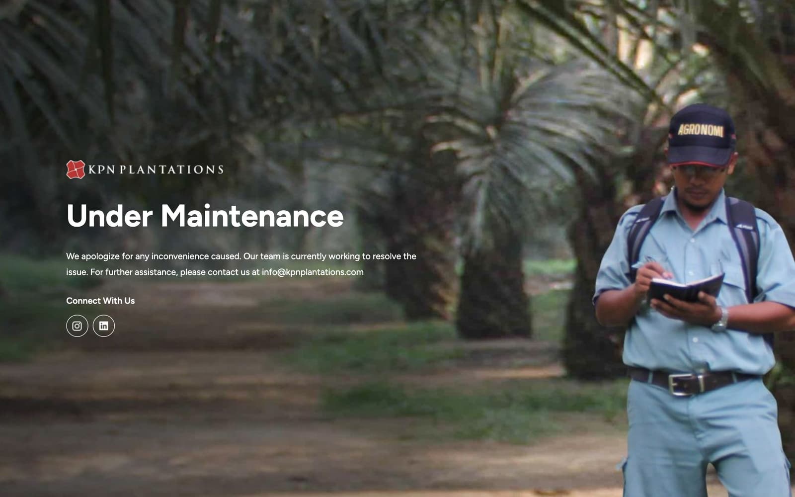 KPN Plantations — project screenshot